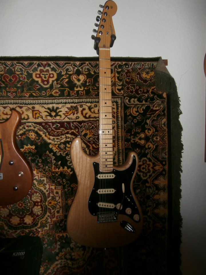 Fender Stratocaster Professional Nature