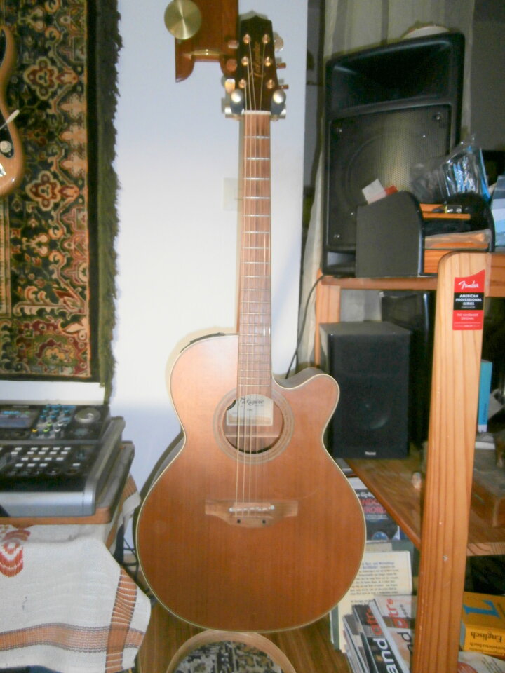 01-takamine-P5030076.JPG