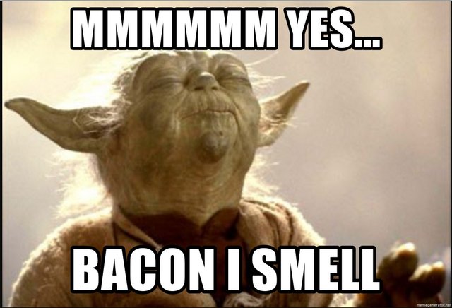 1-mmmmmm-yes-bacon-i-smell.jpg