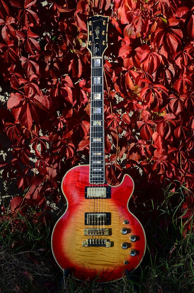 67 Gibson L5-S Cherry Sunburst 24.jpg