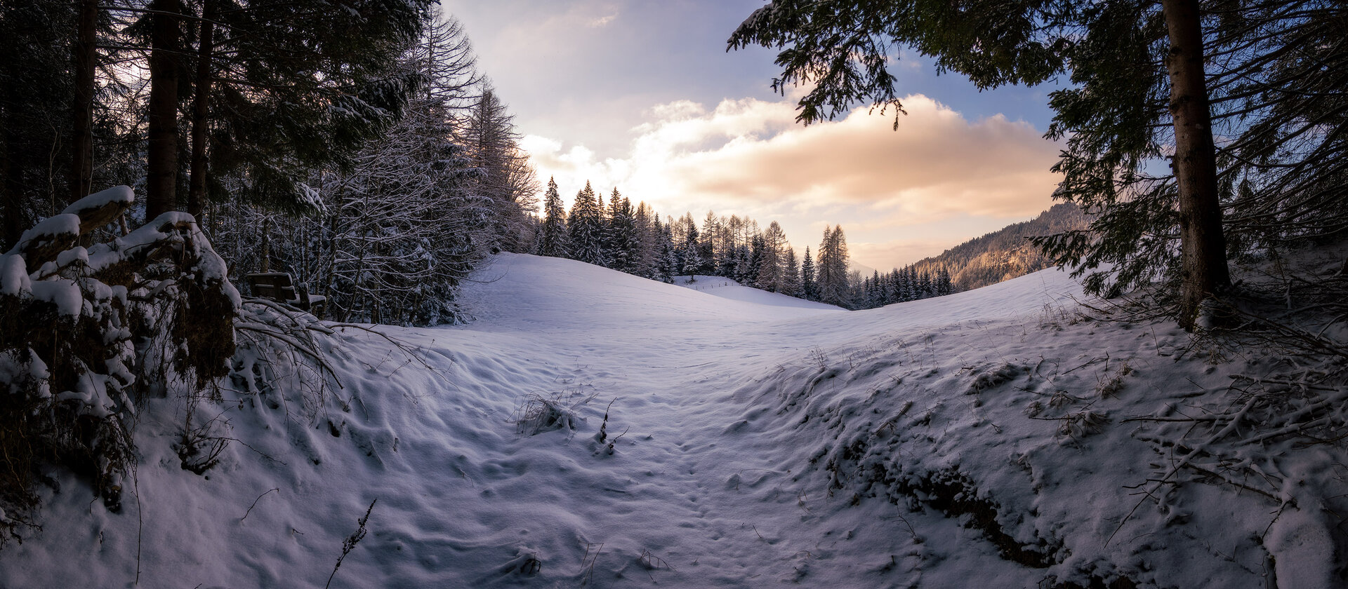 _DSC4410-Panorama.jpg