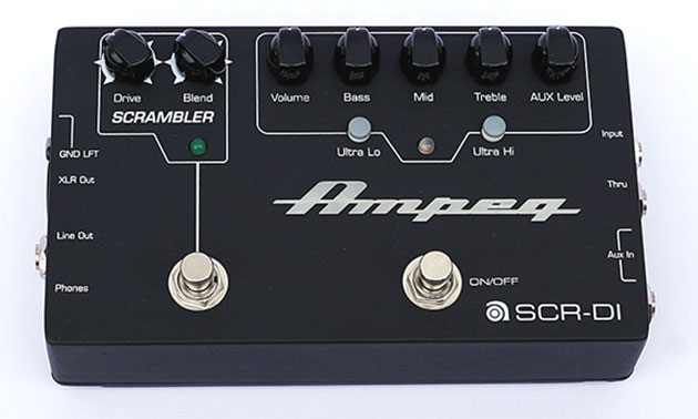 Ampeg_neu.jpg