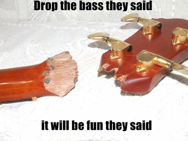 bass-meme-21.jpg