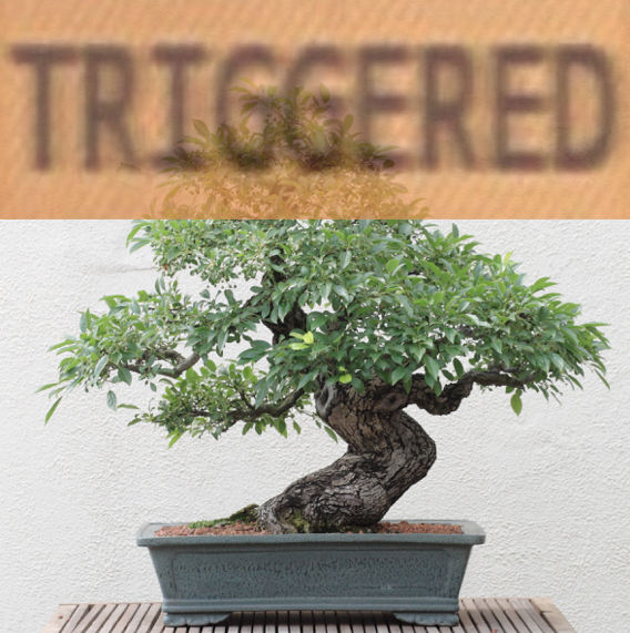 bonsai-triggered-png.722491