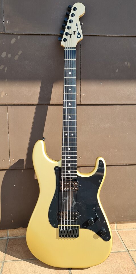 Charvel Pro Mod 01_K.jpg