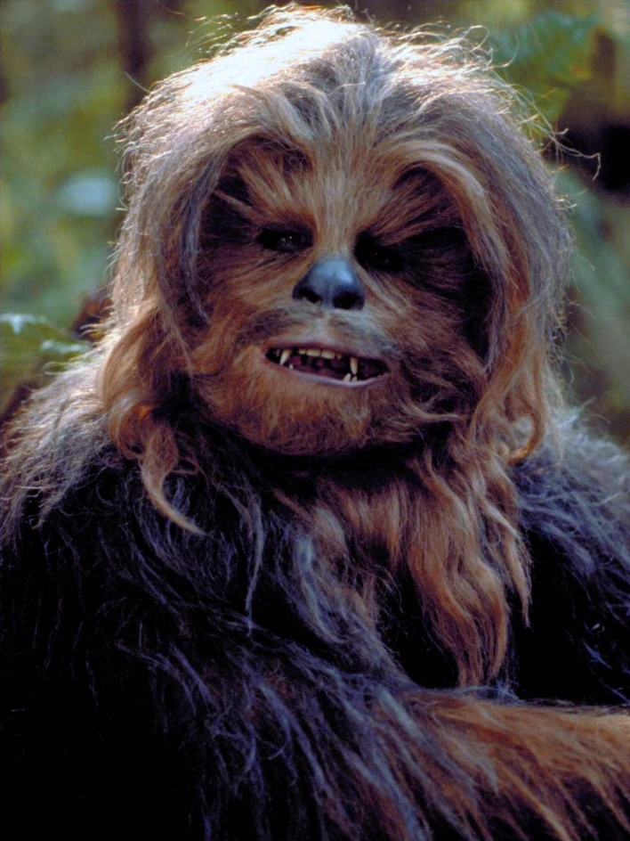 ChewbaccaCSWE.png