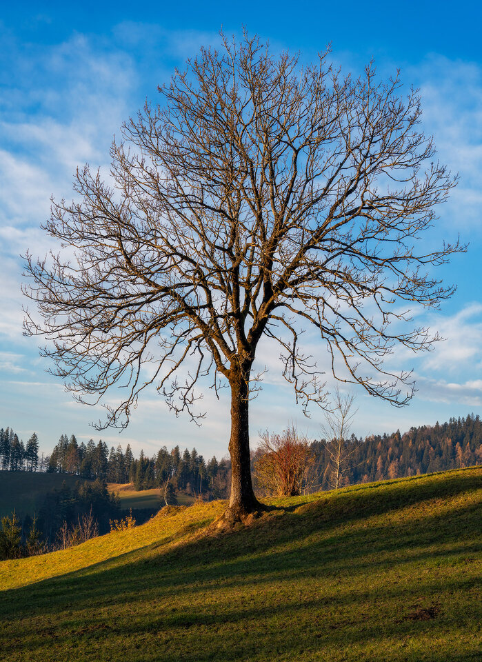 DSC00621-ohne-Kabel.jpg