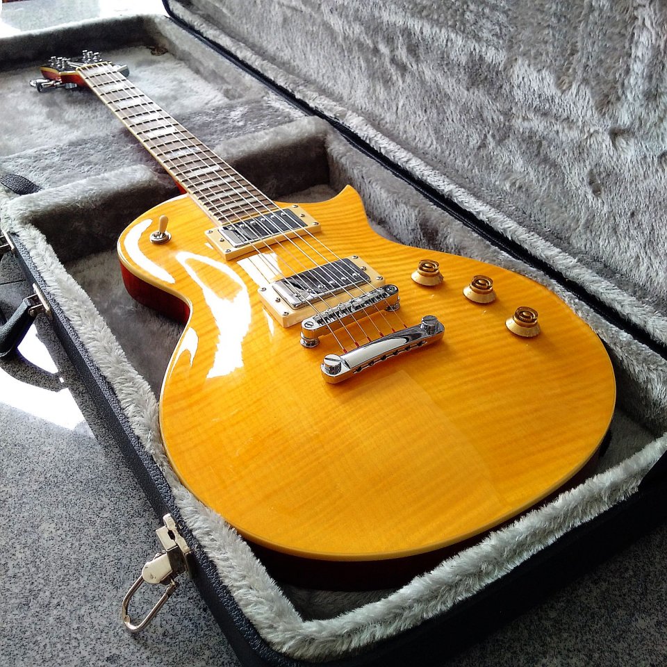 esp ltd ec-256.jpg