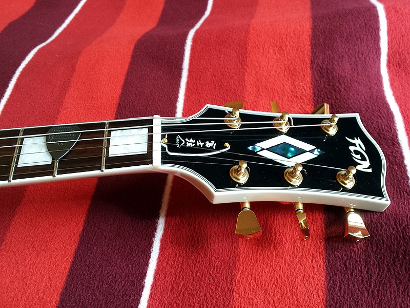 FGN_LC10_Headstock.jpg