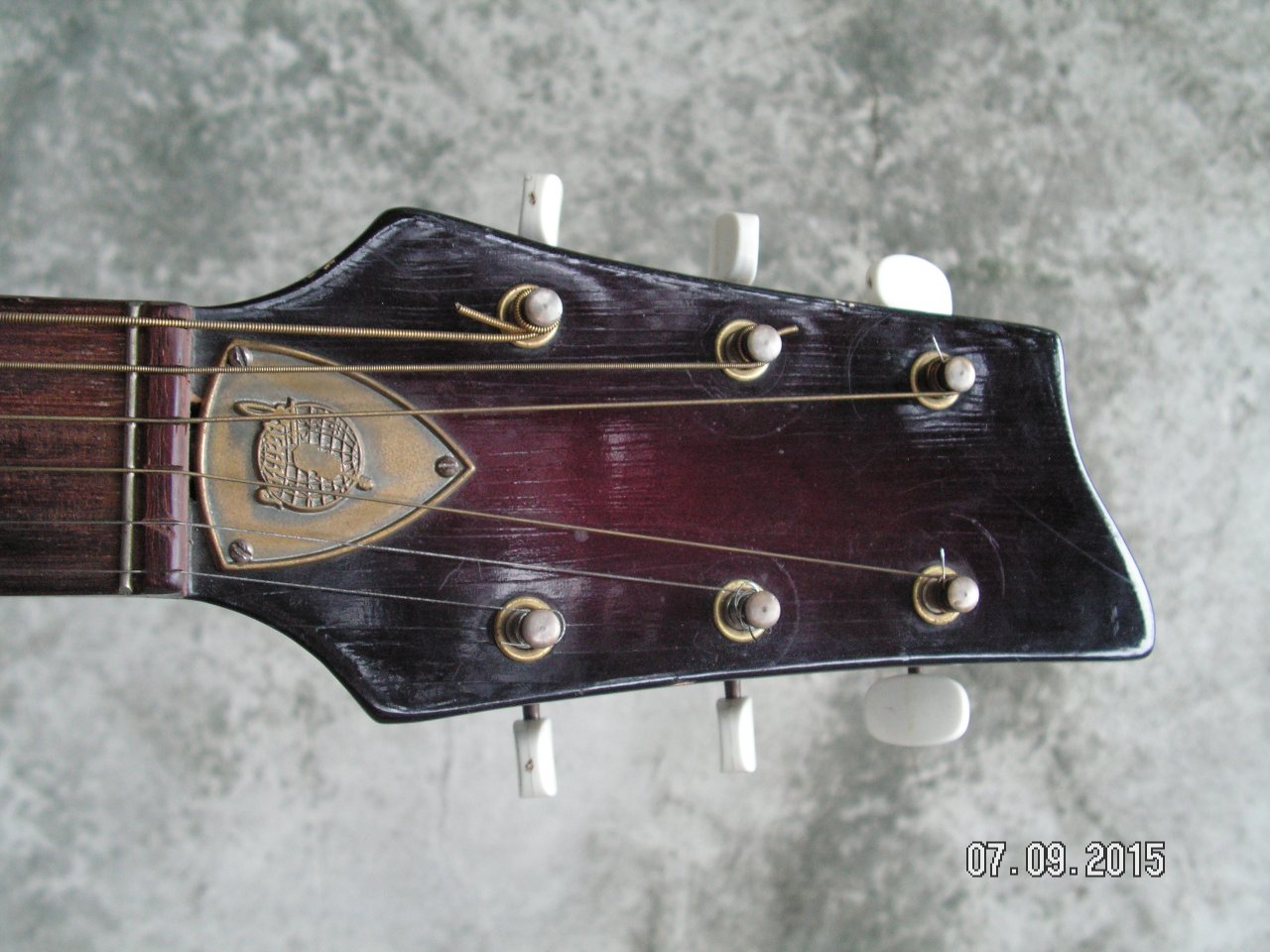 Framus Sorella 5:59 head front 60K.jpg