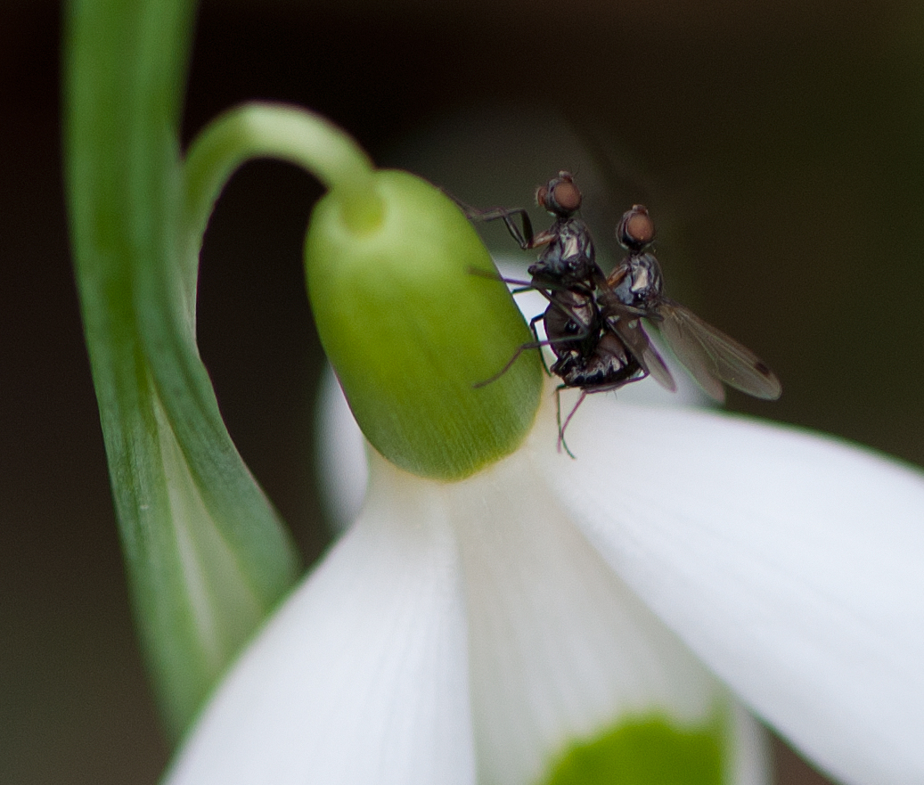 Frühling 2.jpg