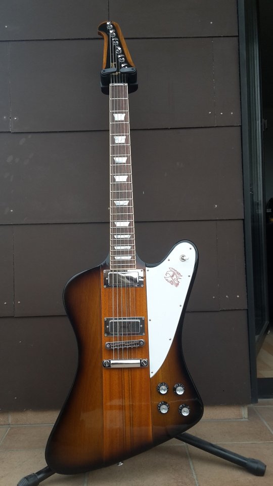 Gibson Firebird 2015 010_K.jpg