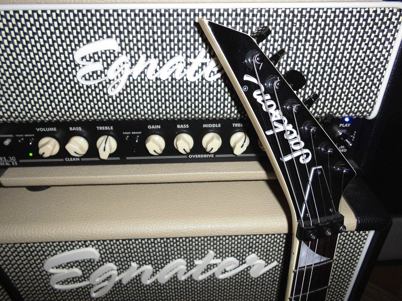 Headstock_9592.JPG