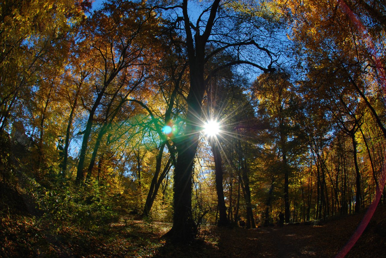 Herbst_01.jpg