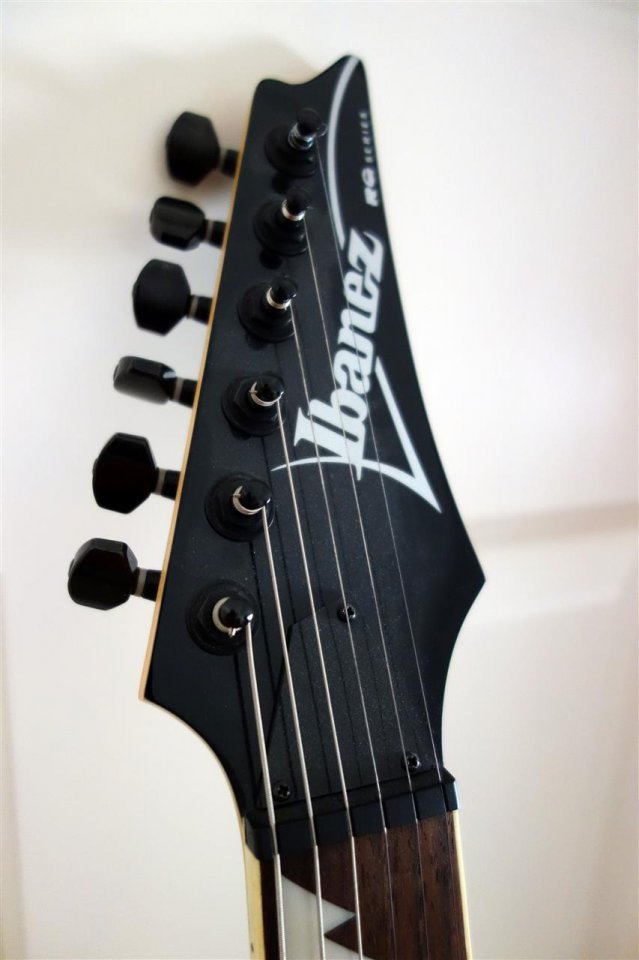 Ibanez (7) (Individuell).JPG