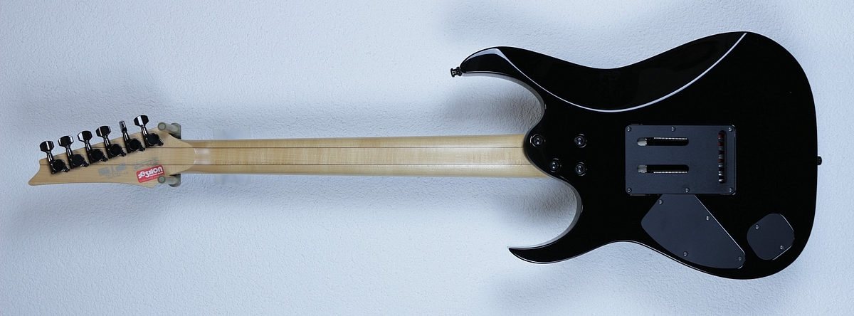 Ibanez_RG2610EBK_2007_R.jpg