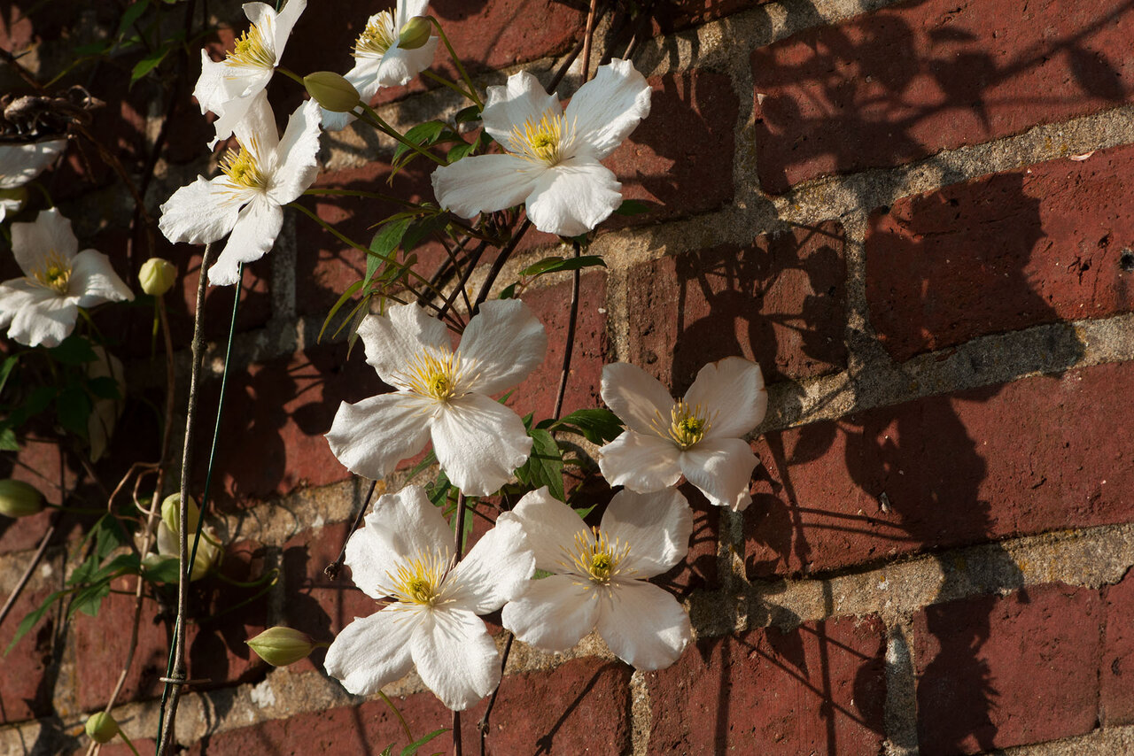 Licht und Schatten.jpg