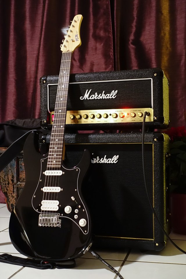 Marshall-DSL20HR-28.jpg