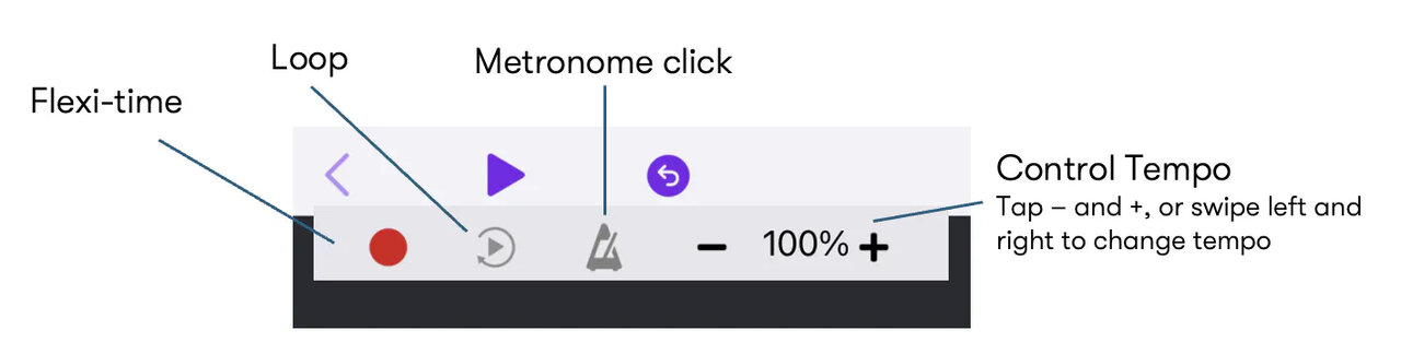 mobile-playback-and-record-features.jpeg