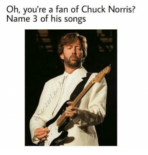 oh-youre-a-fan-of-chuck-norris-name-3-of-23050613.png