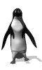 pinguine00012.gif