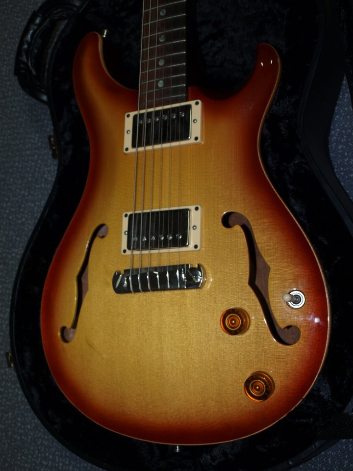 PRS Hollowbody (14) gedreht.jpg