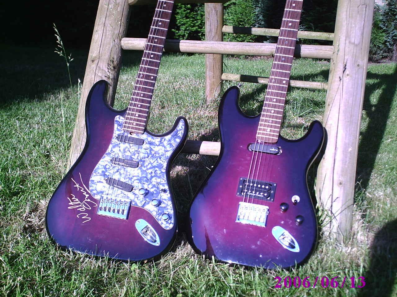 Purple-burst XL.JPG