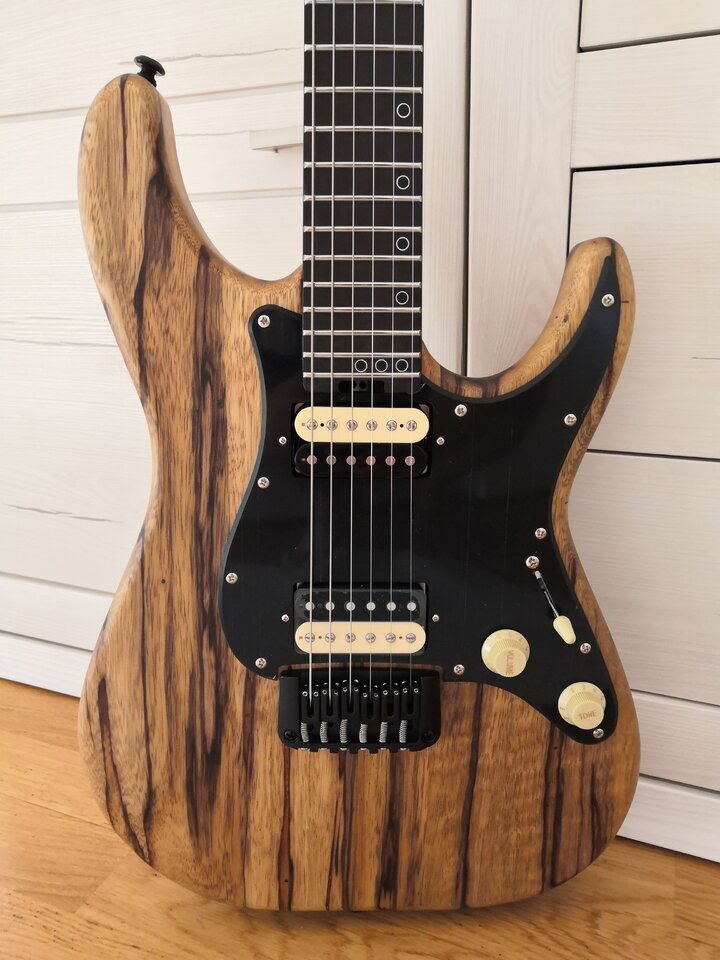 Schecter2.jpg