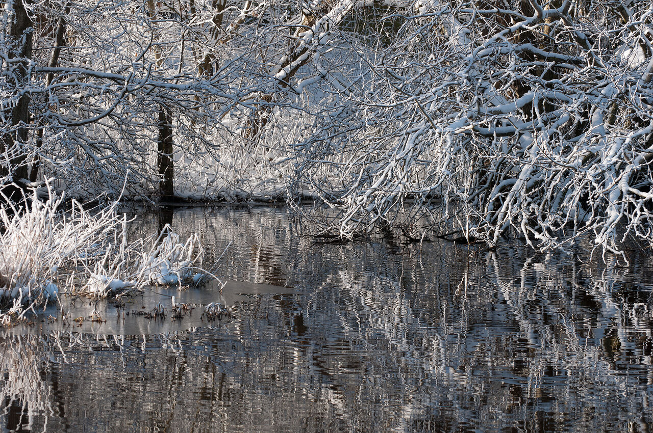 Spiegelung im Schnee komp.jpg