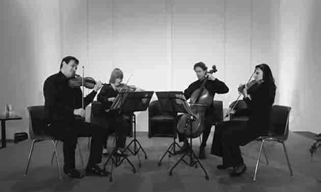 streichquartett-live-session.jpg