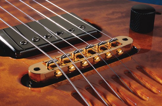 t-bridge-electric-acoustic-guitar-pickup-slide2-jpg.435688