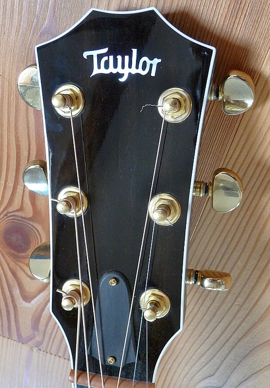 Taylor Headstock.jpg