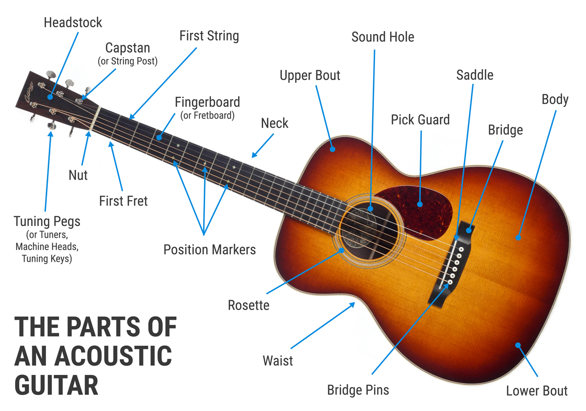 The-Parts-of-an-Acoustic-Guitar.jpg