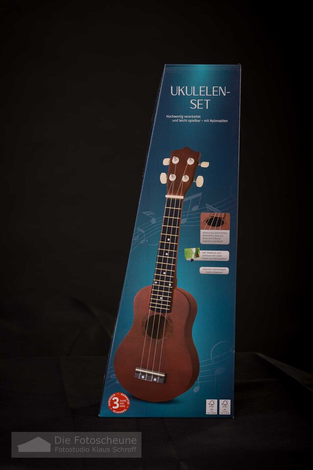 ukulele (0001 von 0014).jpg