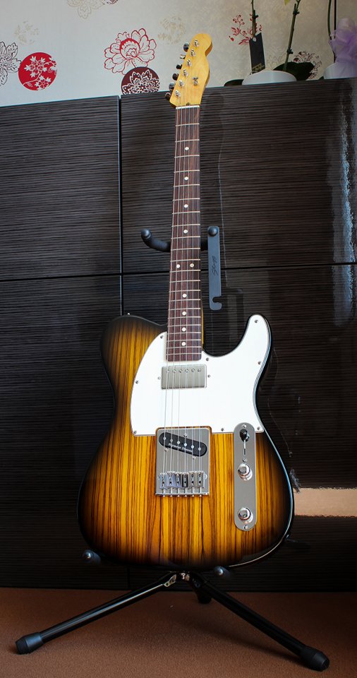 Warmoth-Tele_MB.jpg