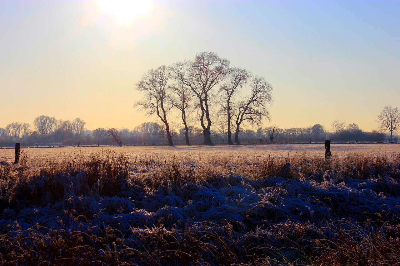 Winterzauber1.JPG