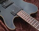 Ibanez-Axstar-IM005631.jpg