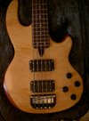 Wal-Bass fretted 5.jpg