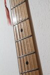 05092010ibanez016.jpg