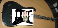 hohner pickguard.jpg