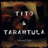 1256652829_tito-tarantula-tarantism.jpg