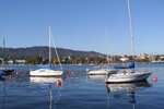 boote zÃ¼richsee.jpg