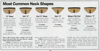 mostcommonneckshapes.jpg