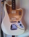 Gold Pickguard.jpg