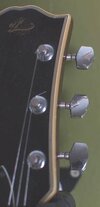 headstock.jpeg