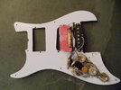 Pickguard-Back.jpg