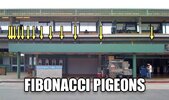 Fibonacci Pigeons.jpg