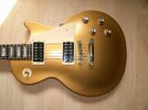 Goldtop_01.jpg