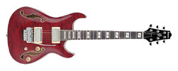 Ibanez-AWD-83-T-TRD-EGitarre-inkl-Gigbag.jpg