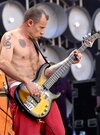 1239118549-flea.jpg